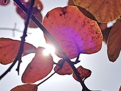 -北京西山国家森林公园