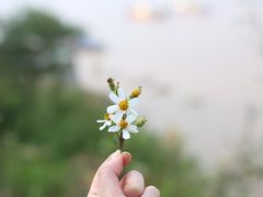 -北岐滩涂