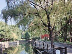 -上海千禧海鸥大酒店