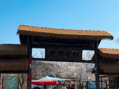 -井塘古村