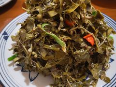 龙柏芽-陈炉印象
