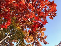 -北京国际图书城