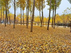 -东郊湿地公园
