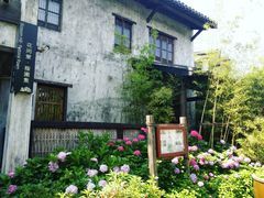-田园东方蜜桃村的田野营地