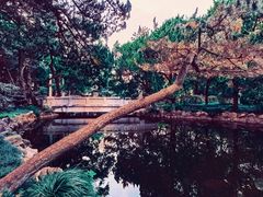 -叶家花园