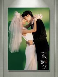 -皇室米澜摄影工作室(宝安店)