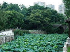 -水绘园