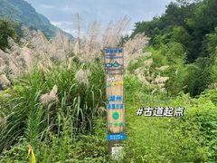 -西湖文化广场