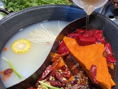 -阳阳老火锅(小南门店)