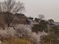 -北京西山国家森林公园