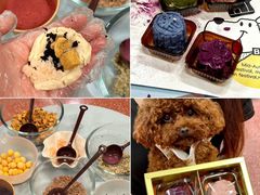 -帕帕拉兹宠物(亚洲旗舰店)