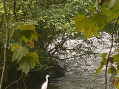 -阿哈湖国家湿地公园
