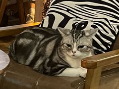 -咖法森林·咖啡  酒吧(天河店)