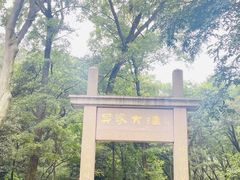 -老山国家森林公园