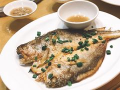 香煎大黄花鱼-汇景花园酒家(基立下道店)