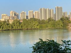 -大亚湾红树林城市湿地公园