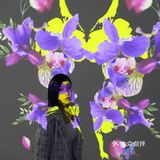 成都南门看展｜🐋BLOOMS繁花·光怪陆离的世界里遨游