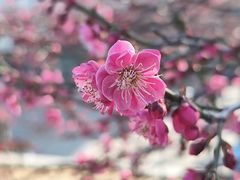 -海尔世界家电博物馆