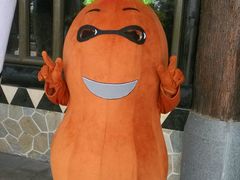 android_upload_pic-厦门方特梦幻王国