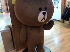 -line friends(明洞旗舰店)