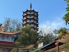 -羊楼洞