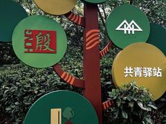 -上海共青森林公园