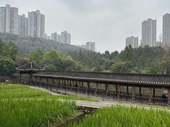 -龙头寺公园