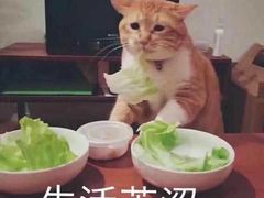 -上海大学嘉定校区-食堂