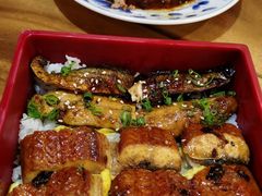 商务午餐套餐-希望日本料理(保利香槟花园店)