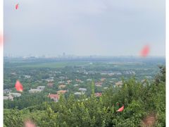 -上海佘山国家森林公园西佘山园