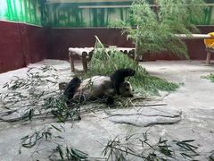 -杭州野生动物世界