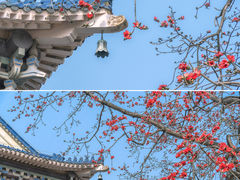 -广州中山纪念堂