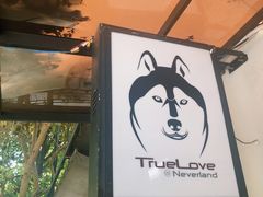 门面-TrueLove @ Neverland (Husky Cafe)
