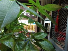 -湘当爱·鲜煮现炒(松岗立业路店)