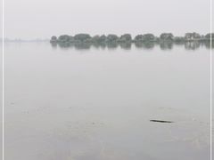 -漕湖湿地公园