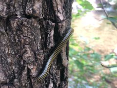 -碓臼峪自然风景区