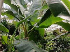 -忆江南·生态餐饮宴会酒店