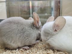 -三旗百汇商品城