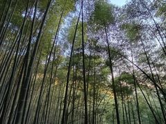-五泄景区