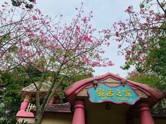 -史努比缤纷世界