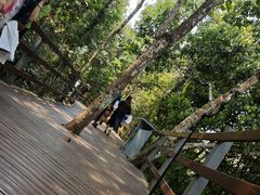 -野象谷景区