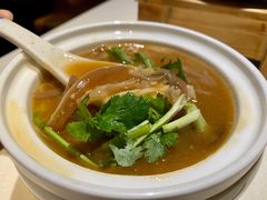 红焖鲨鱼皮-北国饭店(汕头卜蜂店)