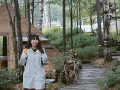 -峡谷浮石林景区