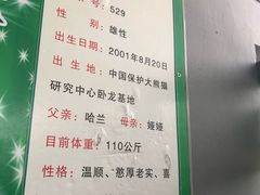 -石家庄市动物园