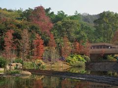 -云溪植物园