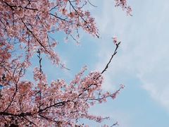 -梨泰院