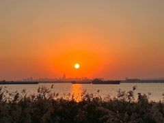 -芒洲湿地公园