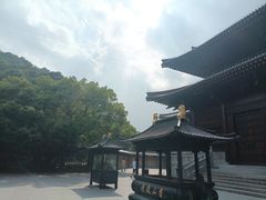 -九龙湖公园