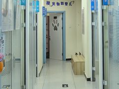 -全心全意连锁动物医院·微创中心·内科急重症·心脏专科(丰管路店)