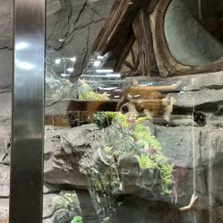 -Zoolung Zoolung动物主题公园(海信广场店)